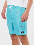 DC All Season Volley 14.5 Youth Shorts SEDBJV03012-BJM0