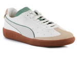 Puma Vlado Stenzel PL Pristine/Deep Forest 386343-01