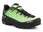 Pánská obuv Salewa Alp Trainer 2 Gore-Tex® 61400-5660