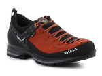 Shoes Salewa MS MTN Trainer 2 GTX 61356-7519